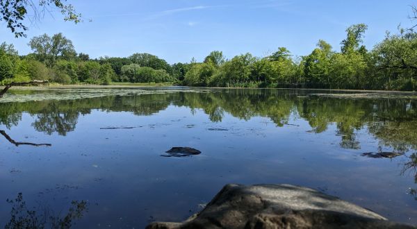 Take A Paved Loop Trail Around This Massachusetts Pond For A Peaceful Adventure