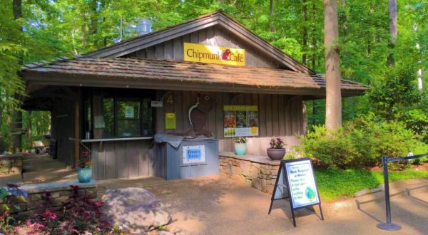 Nestled In The Middle Of A Botanical Garden, This Tiny Arkansas Café Is An Enchanting Day Trip Destination