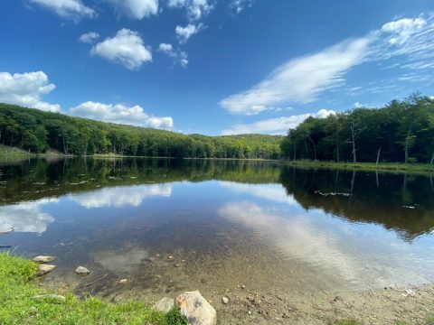 The Most Remote Lake In Massachusetts Is Also The Most Peaceful