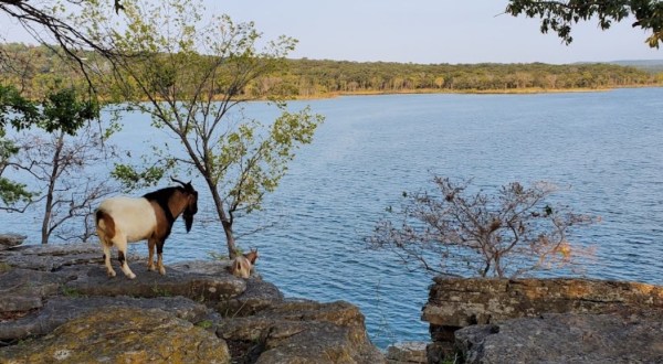You Can Kayak To Goat Island At Tenkiller State Park For A Unique Oklahoma Adventure