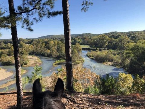 Visit The Ouachita Mountains By Horseback On This Unique Tour In Oklahoma