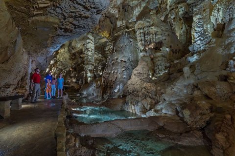 There's A Cavern Right Next To A Safari Park In Texas, Making For A Fun-Filled Family Outing