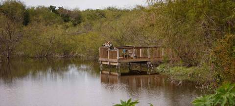 Explore Texas' Rio Grande Valley At This Underrated State Park