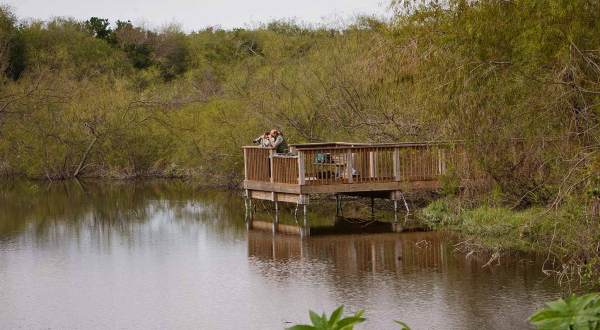 Explore Texas’ Rio Grande Valley At This Underrated State Park