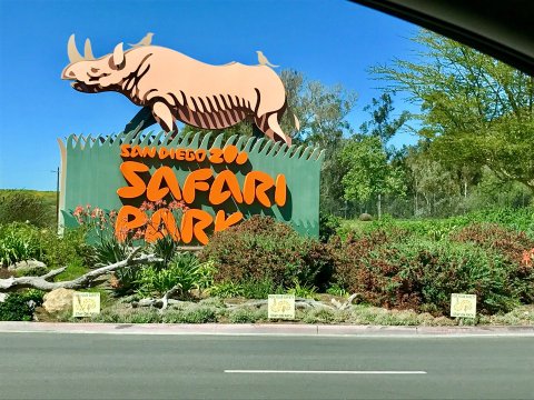 The Largest Safari Park In The U.S. Is In Southern California, And It's Magical