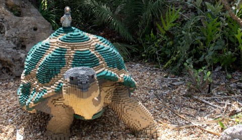 Come See The Lego-Themed Nature Exhibit At This Florida Botanical Garden