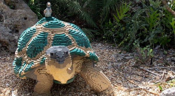 Come See The Lego-Themed Nature Exhibit At This Florida Botanical Garden