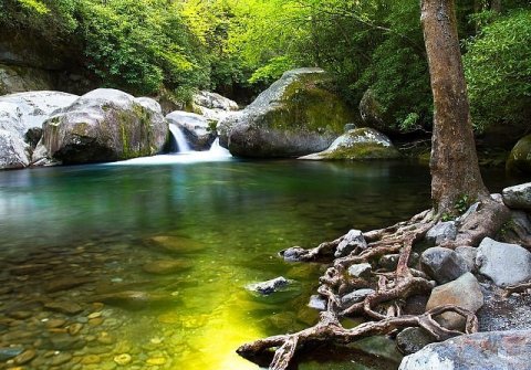 You'll Want To Spend The Entire Day At The Gorgeous Natural Pool In North Carolina’s Big Creek Area
