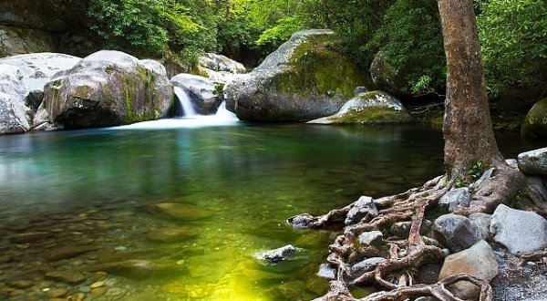 You’ll Want To Spend The Entire Day At The Gorgeous Natural Pool In North Carolina’s Big Creek Area