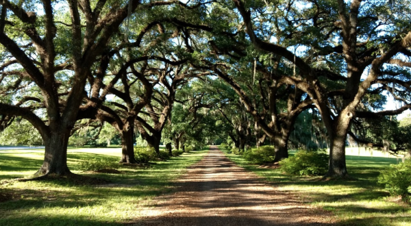 Named The Most Beautiful Small Town In Louisiana, Take A Closer Look At St. Francisville