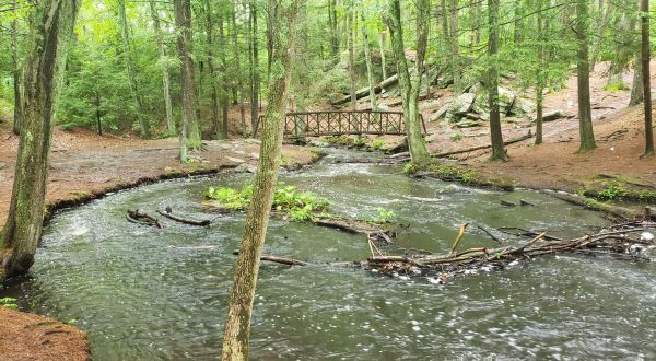 Take A Trail Through The Woods Of Mowry Conservation Area In Rhode Island