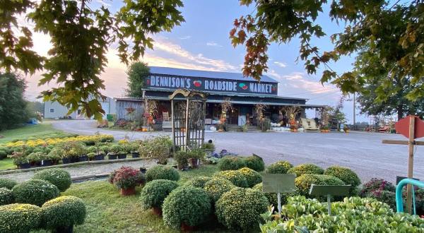 This Family-Fun Farm Market In Kentucky Will Take You Back To The Good, Ole Days