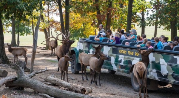 There’s A Diner Near A Wildlife Park In Pennsylvania, Making For A Fun-Filled Family Outing