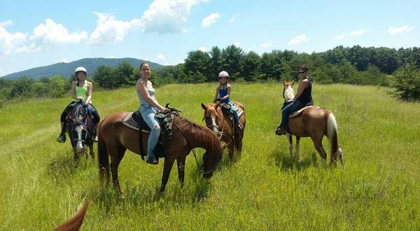 Greenridge Horse Ranch Is An Awesome Ranch Hiding In Pennsylvania And You’ll Want To Visit