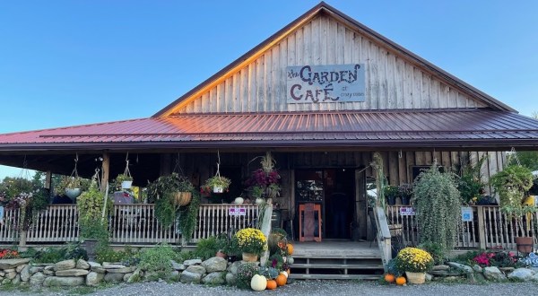 Nestled In The Middle Of A Garden Center, This Tiny New York Cafe Is An Enchanting Day Trip Destination