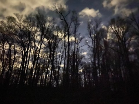 Meeman-Shelby Forest State Park Might Just Be The Most Haunted Park In Tennessee