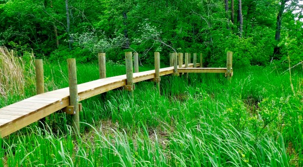 Take A Boardwalk Trail Through The Wetlands Of Kings Landing Park In Maryland