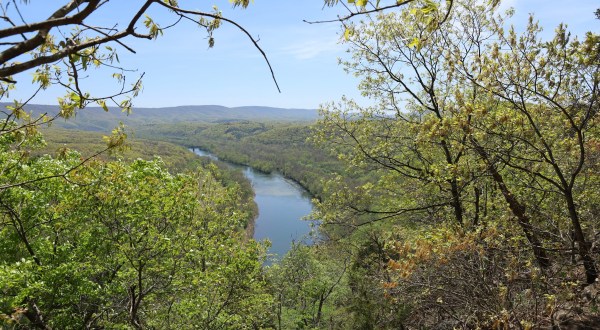 Explore Maryland’s Wild Side At This Underrated State Forest