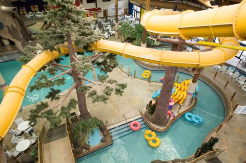 Take A Trip To Timber Ridge Lodge In Lake Geneva A Water And Adventure Park That's Tons Of Fun