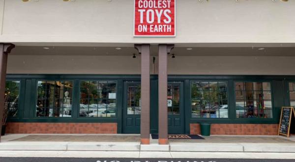 Embrace Your Inner Child At Coolest Toys On Earth, An Epic Toy Shop In Mariemont, Ohio