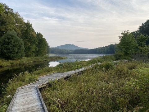 Take A Boardwalk Trail Through The Forest Of Parker Dam State Park In Pennsylvania