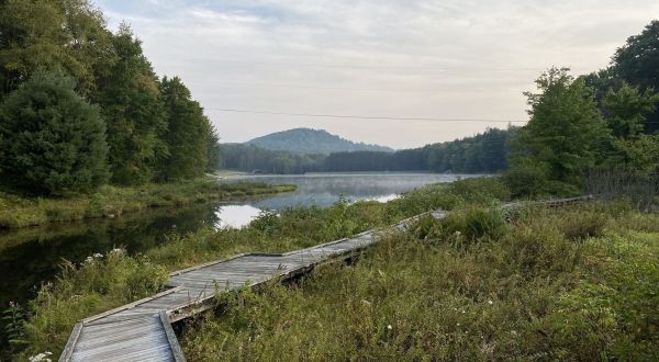 Take A Boardwalk Trail Through The Forest Of Parker Dam State Park In Pennsylvania