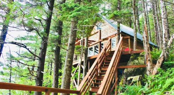 Humpy Cove Cabin Is A Treehouse In Alaska Where You Can Spend The Night