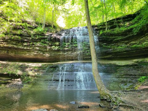 This 1-Mile Trail In Tennessee Leads To A Waterfall And A Swimming Hole