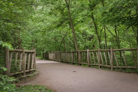 Take A Paved Loop Trail Around This Kentucky Valley For A Peaceful Adventure