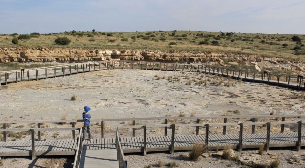 A Trip To This Fossil Park In New Mexico Is An Adventure Like No Other