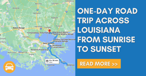 This Epic One-Day Road Trip Across Louisiana Is Full Of Adventures From Sunrise To Sunset