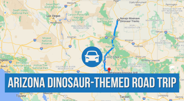 This Dinosaur-Themed Road Trip Through Arizona Is The Ultimate Family Adventure