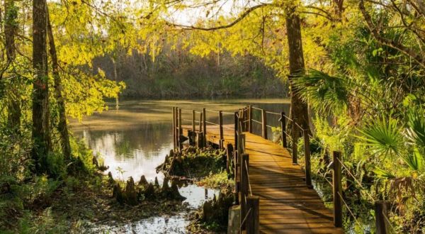 With More Than 85,000 Acres To Explore, Florida’s Largest State Park Is Worthy Of A Multi-Day Adventure