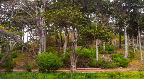10 Easy Hikes To Add To Your Outdoor Bucket List In San Francisco