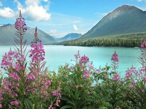 There's Almost Nothing In Life A Day On Alaska's Kenai River Can't Cure