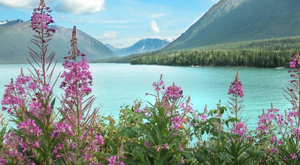 There’s Almost Nothing In Life A Day On Alaska’s Kenai River Can’t Cure