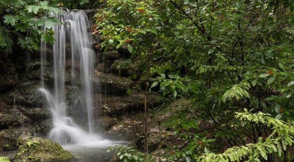 If There Are Only 4 Waterfall Hikes You Take In Florida, Make Them These