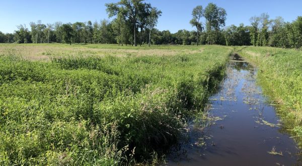 Take A Boardwalk Trail Through The Wetlands Of Blaine Wetland Sanctuary In Minnesota
