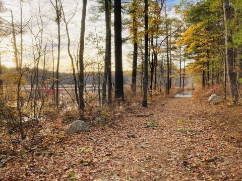 Meander Through A Shady Forest Along The 2.1-Mile Wolf Meadow Trail In Massachusetts For An Unforgettable Outdoor Adventure