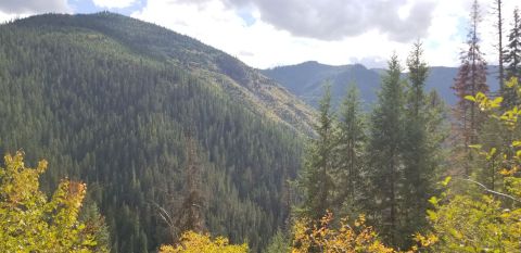 St. Joe NF Trail 17 Is A Gorgeous Forest Trail In Idaho That Will Take You To A Hidden Overlook