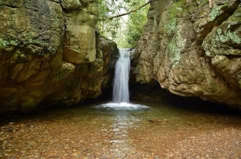 7 Totally Kid-Friendly Hikes In Tennessee That Are 1 Mile And Under