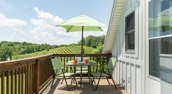 Explore Le Petit Chevalier Vineyards And Farm Winery In Ohio, Then Stay The Night In The Beautiful Chevalier Winery Loft Airbnb