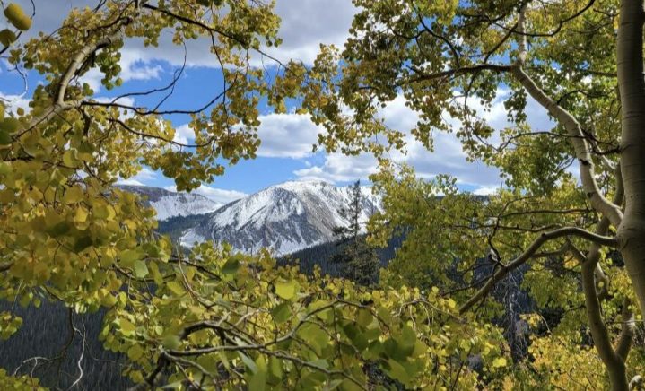 Distant view through the trees of a snow-covered mountain peak in the Sangre de Cristo range in New Mexico