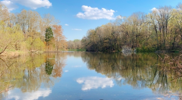 Billie Johnson Mountain Lakes Preserve In New Jersey Is So Hidden Most Locals Don’t Even Know About It