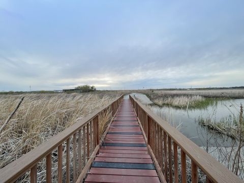 Take A Boardwalk Trail Through The Baker Wetlands In Kansas
