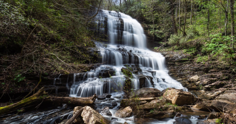 This Easy, 0.3-Mile Trail Leads To Pearson's Falls, One Of North Carolina's Most Underrated Waterfalls