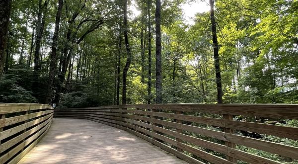 Take A Boardwalk Trail Through Parks On The South Peachtree Creek Path Trail In Georgia