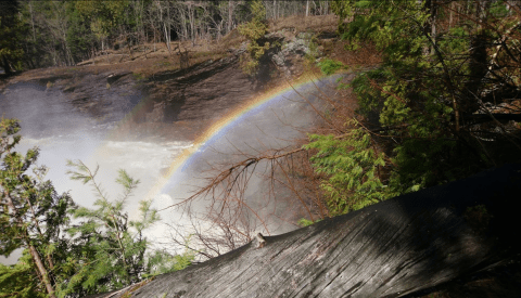 The Rainbow Falls Trail In Michigan Is A One-Mile Out-And-Back Hike With A Waterfall Finish