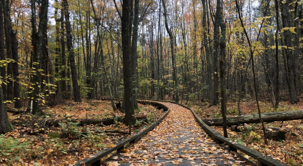 Take A Paved Loop Trail Around This New Hampshire Forest Pond For A Peaceful Adventure