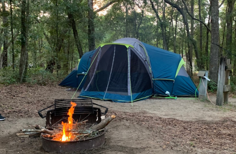 This Secluded State Park In Florida Offers Camping Right In The Thick Of Nature